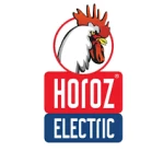 Horoz Electric
