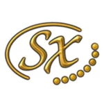 SX Guitars