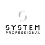 System Professional