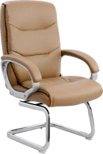 Πολυθρόνα Camel HM1088.09
