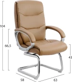 Πολυθρόνα Camel HM1088.09