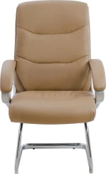 Πολυθρόνα Camel HM1088.09
