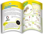 Gigo Electromagnetism and Motor