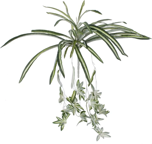 GloboStar SPIDER PLANT 78217 Τεχνητό Φυτό Χλωρόφυτο Κλαδιών με Φύλλωμα Πράσινο - Κίτρινο - Λευκό Υ60cm