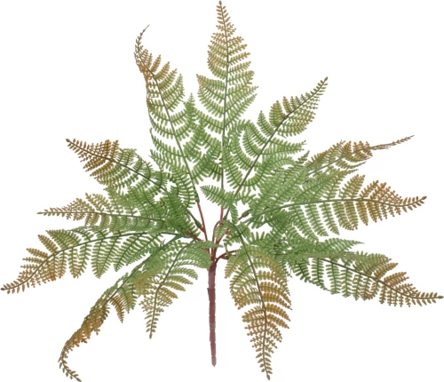 GloboStar FERN 78269 Τεχνητό Φυτό Φτέρη Κλαδιών με Φύλλωμα Πράσινο/Καφέ Υ45cm
