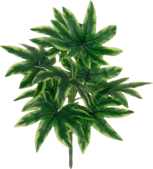GloboStar Rice Paper Plant 78272 Τεχνητό Φυτό Τετραπάναξ με Φύλλωμα Πράσινο Υ30cm
