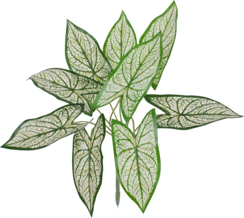 GloboStar Syngonium 78224 Τεχνητό Φυτό Συγγόνιο με Φύλλωμα Πράσινο/Λευκό Υ37cm