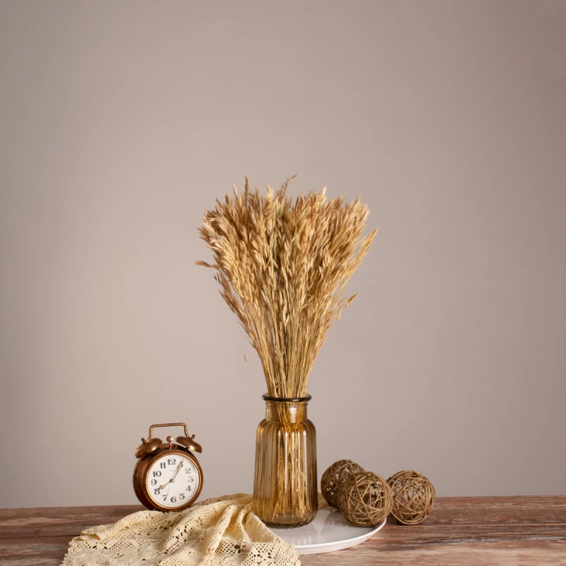 GloboStar WHEAT 36550 Αποξηραμένο Φυτό ΣίτοςΣίτος Μπεζ Υ60cm