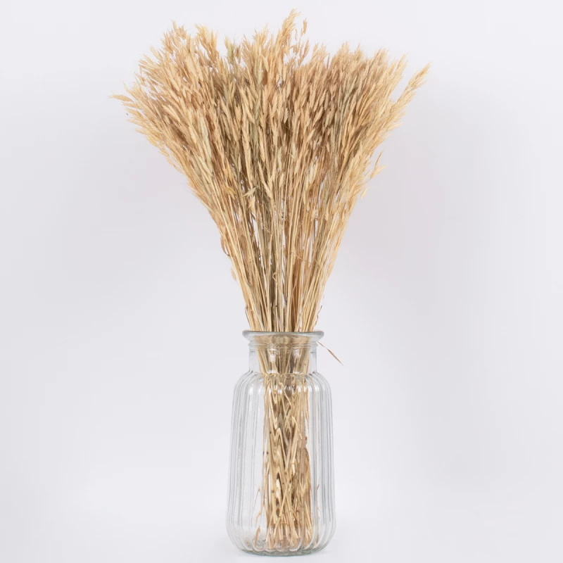 GloboStar WHEAT 36550 Αποξηραμένο Φυτό ΣίτοςΣίτος Μπεζ Υ60cm