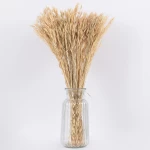 GloboStar WHEAT 36550 Αποξηραμένο Φυτό ΣίτοςΣίτος Μπεζ Υ60cm