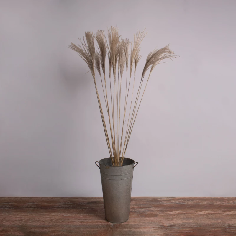 GloboStar MISCANTHUS 36539 Αποξηραμένο Φυτό Μίσχανθος Μπεζ Υ140cm