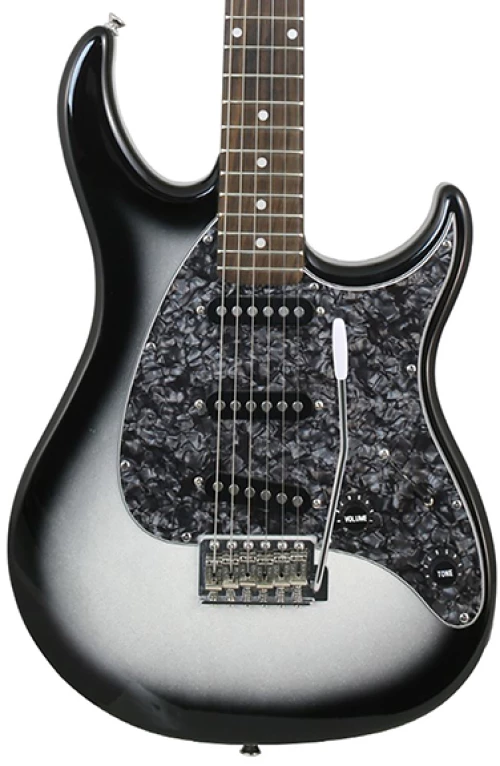Peavey Raptor Custom - Silverburst