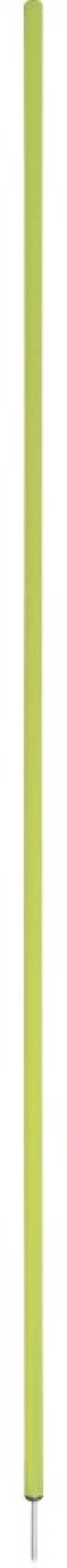 Κοντάρι Για Σλάλομ, 160cm