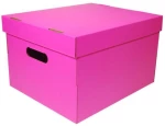 250196 Νext Κουτί Colors Φουξ Α4 Υ19x30x25,5εκ.