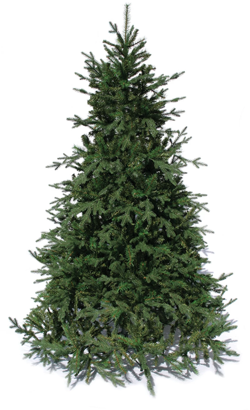 Χριστουγεννιάτικο Δέντρο Deaware Silver Fir Σε Παραδοσιακή Γραμμή Ύψους 2,10m