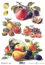 256093 Ριζόχαρτο `fruits` 21x29εκ. (itd-r397) (σετ 3 Τεμαχιων)