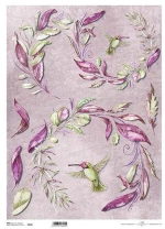 256122 Ριζόχαρτο `colibri` 42x29.7εκ. (itd-r049l) (σετ 3 Τεμαχιων)