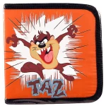 Τετραγωνη Θηκη Για 24cds Ταζ