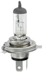 Hs1 12v 35/35w Px43t