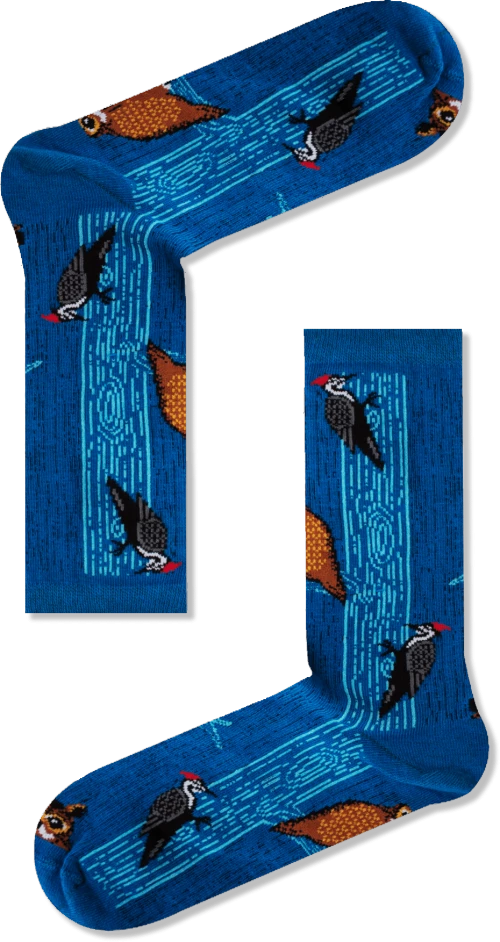 Unisex Κάλτσες μπλε Birds