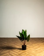 Κολοκασία Τεχνητή Πράσινη Plant 60cm.  Πράσινο