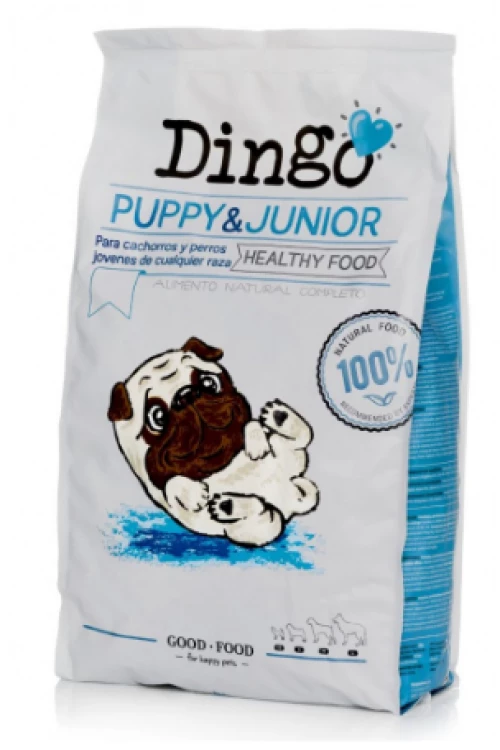 Dingo Puppy & Junior 12Kg