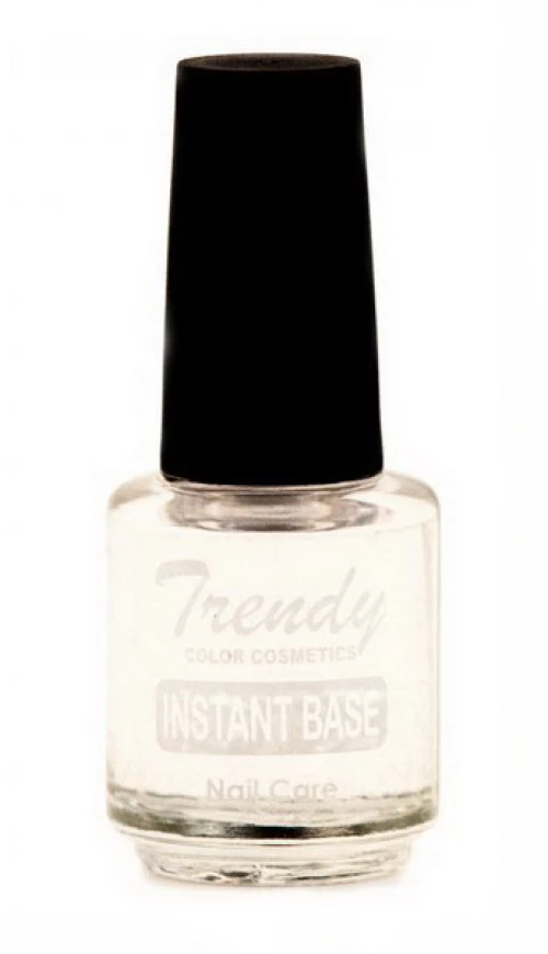 ΒΕΡΝΙΚΙ ΒΑΣΗΣ