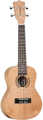 Tanglewood TWT6 Concert Ukulele
