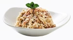 Wellfed Cat Filleto Pure Turkey and Tuna 70gr