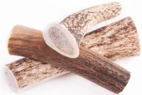 Κέρατο Ελαφιού Wildz Antler Chew S Hard 10cm - 35gr