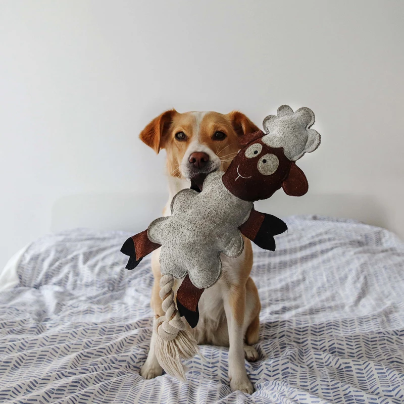 Παιχνίδι Σκύλου Duvo Farm Friends Sebastian the Sheep 49cm