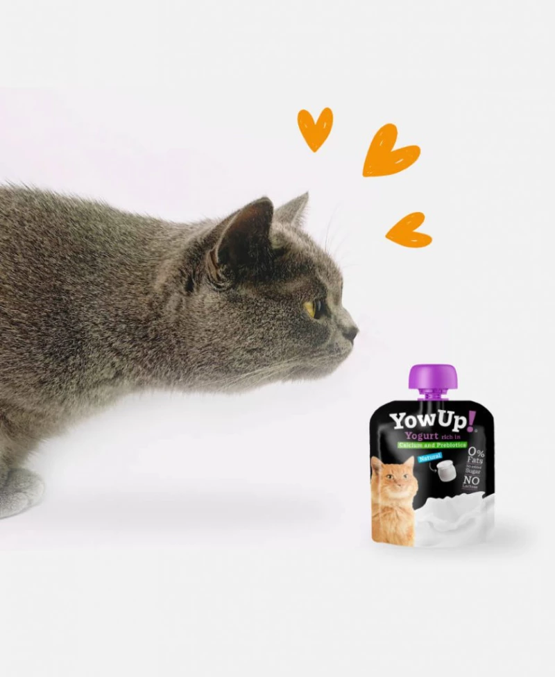 Yowup Cat Yogurt Pouch 85gr