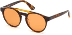 Ανδρικά Γυαλιά Ηλίου WEB EYEWEAR WE0262-5156J ø 51 mm