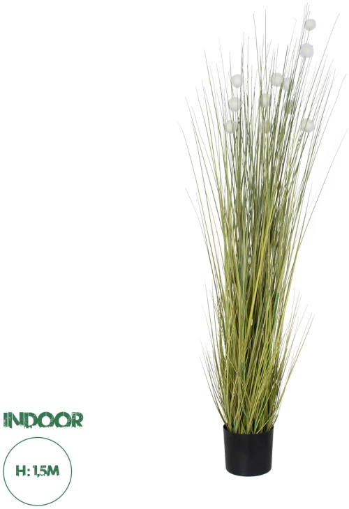 GloboStar® Artificial Garden ERIOPHORUM ANGUSTIFOLIUM COTTON GRASS 20073 Τεχνητό Διακοσμητικό Φυτό Γρασίδι του Βαμβακιού Υ150cm