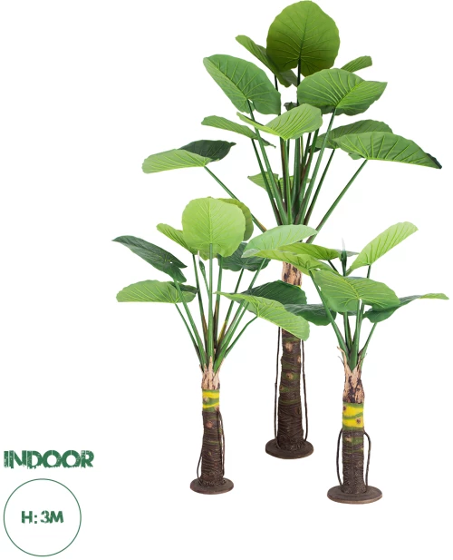 GloboStar® Artificial Garden TARO SET 20089 Τεχνητό Διακοσμητικό Σετ Φυτών Κολοκασία A:Υ300cm B:Υ210cm C:160cm
