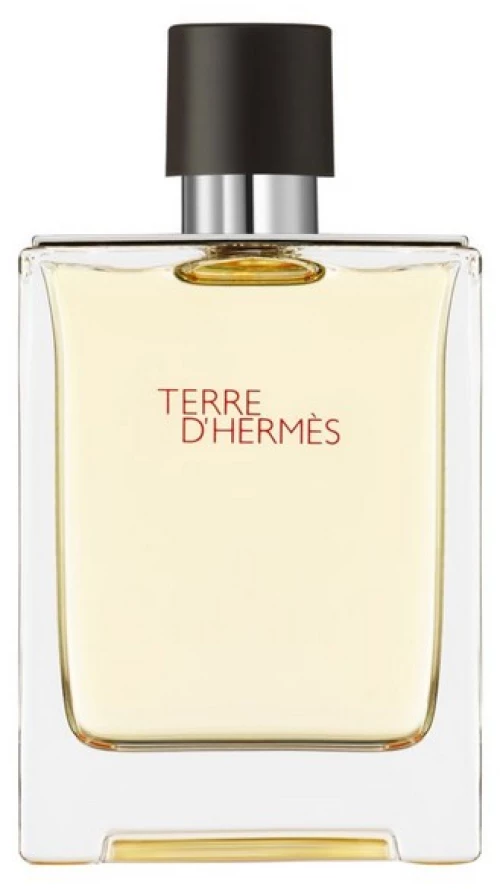 Hermes Terre EDT 100ml