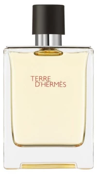 Hermes Terre EDT 100ml