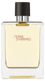 Hermes Terre EDT 100ml