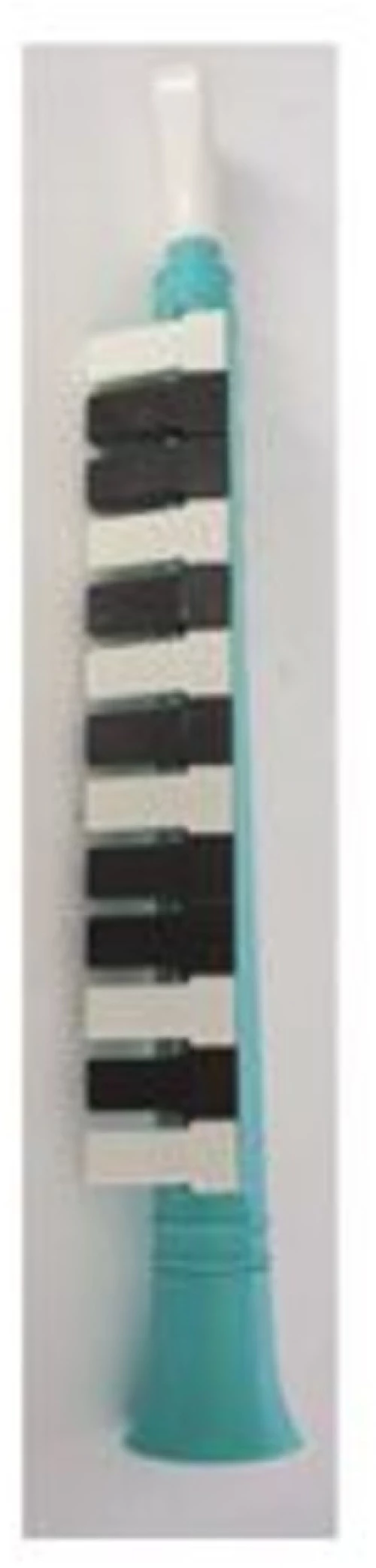 312864 Μελόντικα πλαστική με 13 νότεΣ