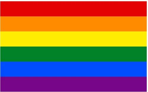 Σημαία LGBT δίχτυ 50x75cm