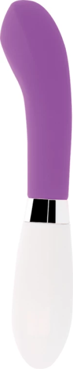 ΔΟΝΗΤΗΣ GLOSSY JOHN VIBRATOR PURPLE