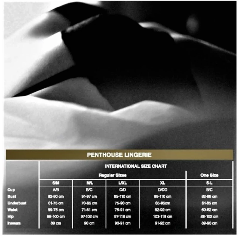 PENTHOUSE DEVIL'S ADVOCATE TEDDY XL