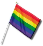 LGBT+ Pride Pennant Small 30 cm