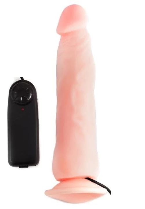 ROUGH MULTI SPEED DENSITY VIBRATING