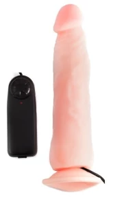 ROUGH MULTI SPEED DENSITY VIBRATING
