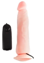 ROUGH MULTI SPEED DENSITY VIBRATING
