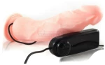 ROUGH MULTI SPEED DENSITY VIBRATING