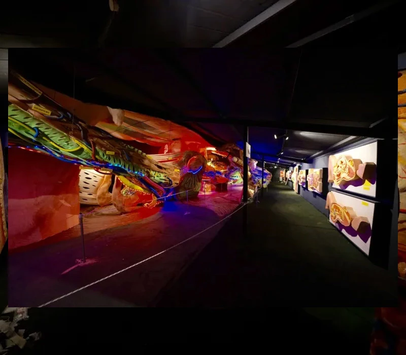 Human Body Museum & Dinosaurs Park, ξενάγηση για 1 άτομο!