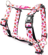 Επιστήθιο Max & Molly Strawberry Dream Large 2,5x70-98cm