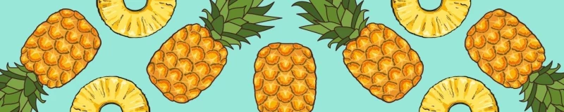 Επιστήθιο Max & Molly Sweet Pineapple Large 2,5x70-98cm